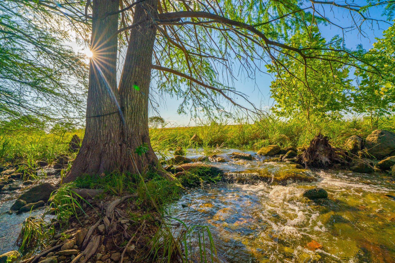 Boerne TX, 116 Majestic Oaks Drive