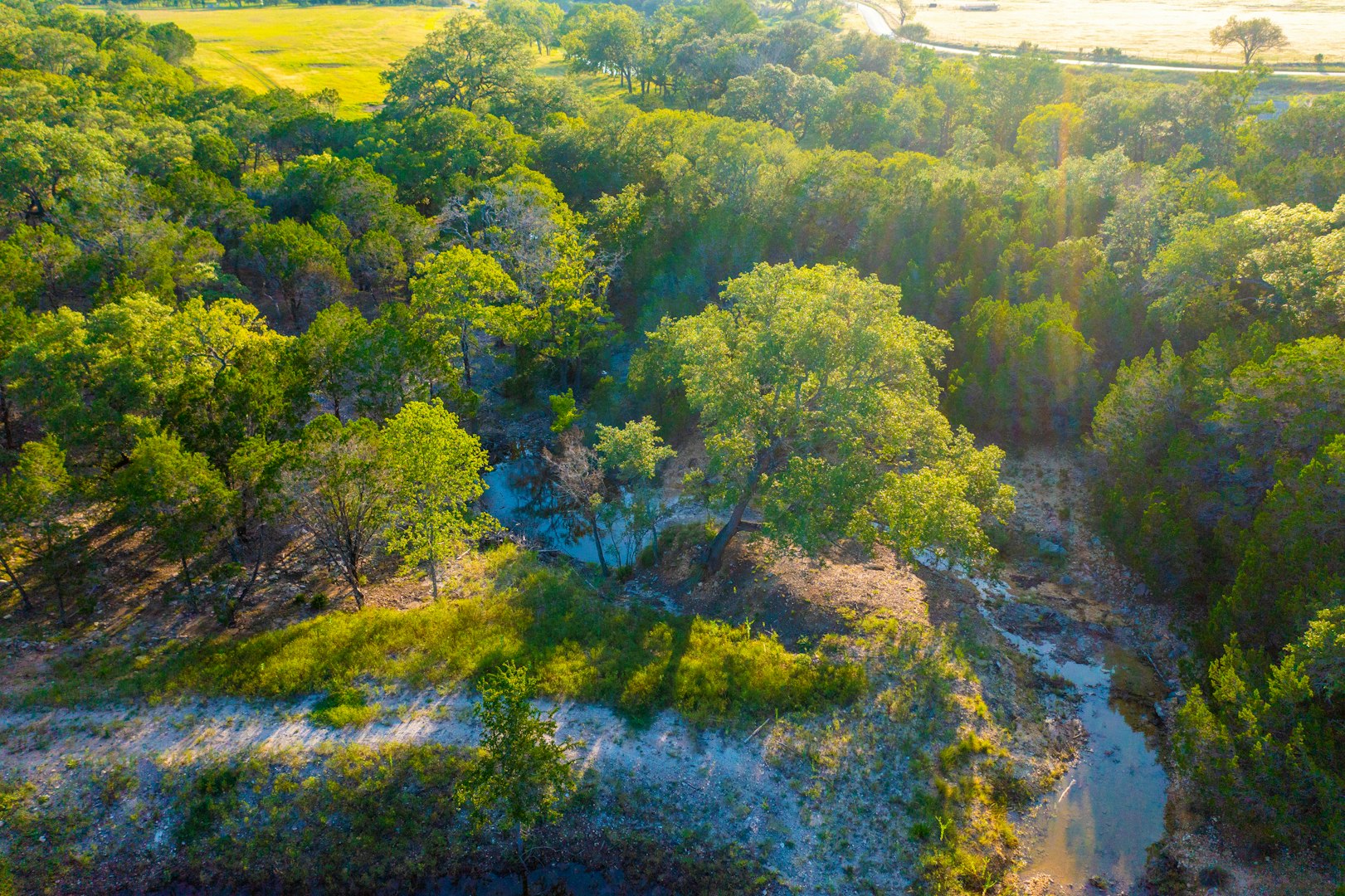 116 Majestic Oaks Drive Boerne TX 78006