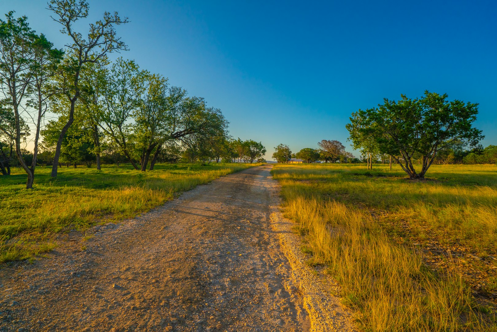 116 Majestic Oaks Drive Boerne TX 78006