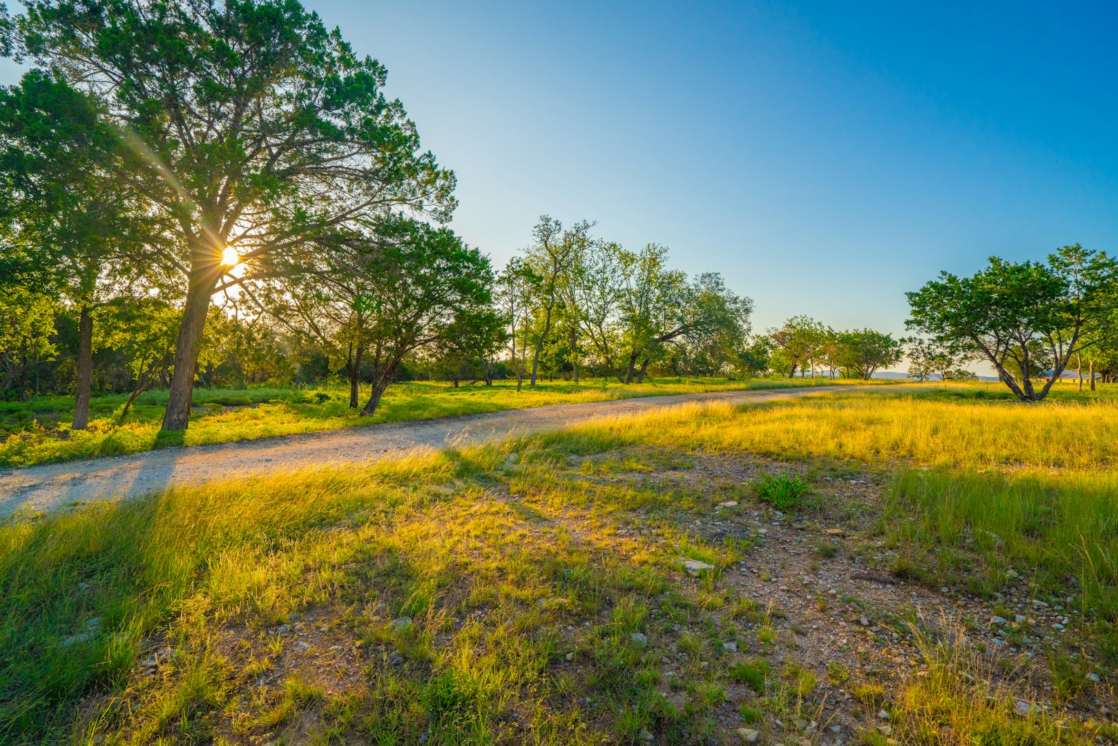 116 Majestic Oaks Drive Boerne TX 78006