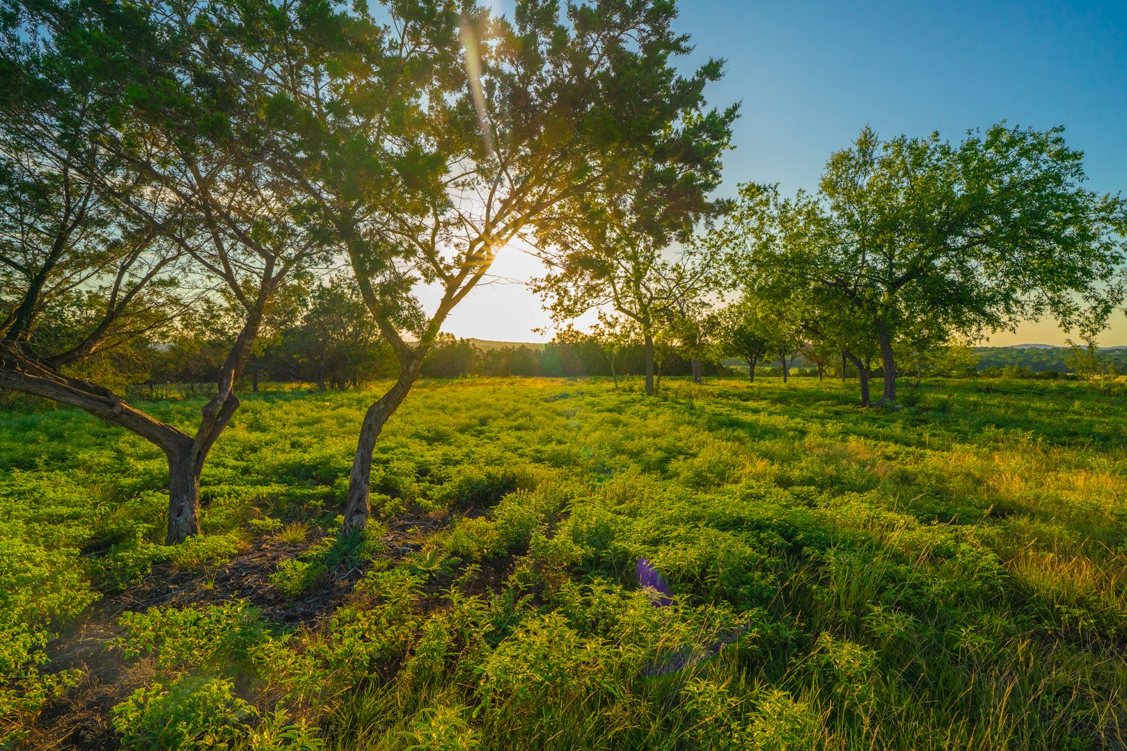 116 Majestic Oaks Drive Boerne TX 78006