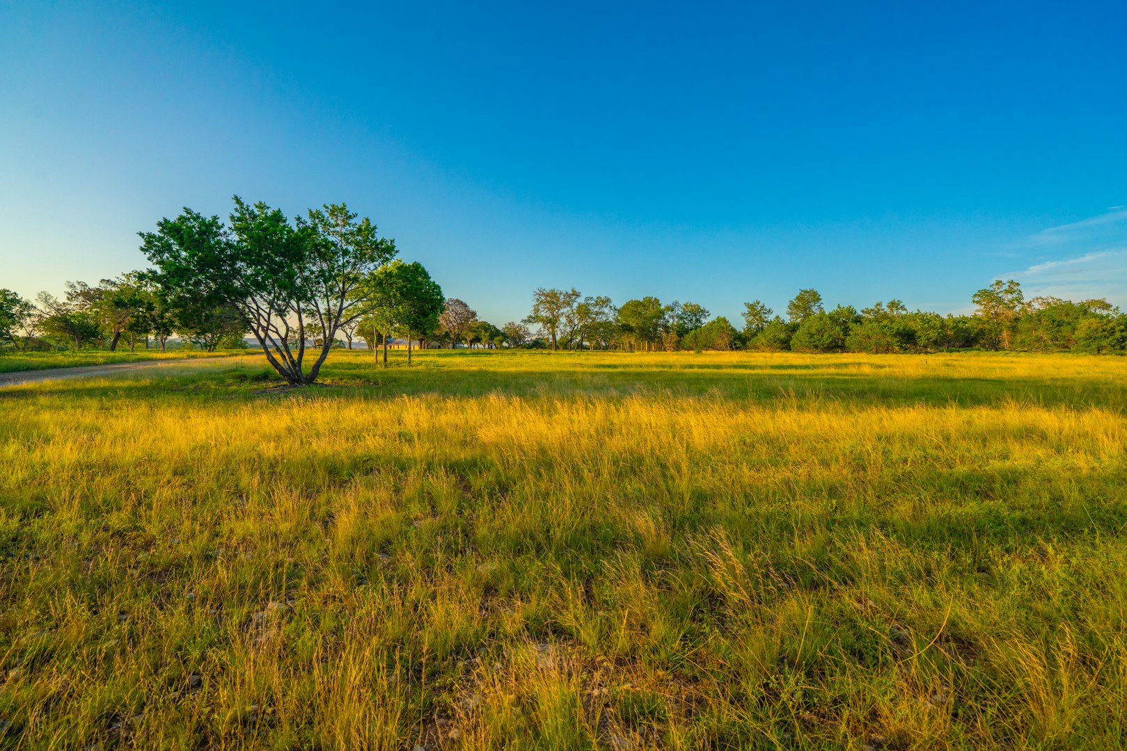 116 Majestic Oaks Drive Boerne TX 78006