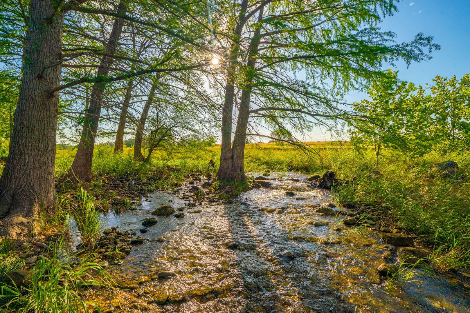 116 Majestic Oaks Drive Boerne TX 78006