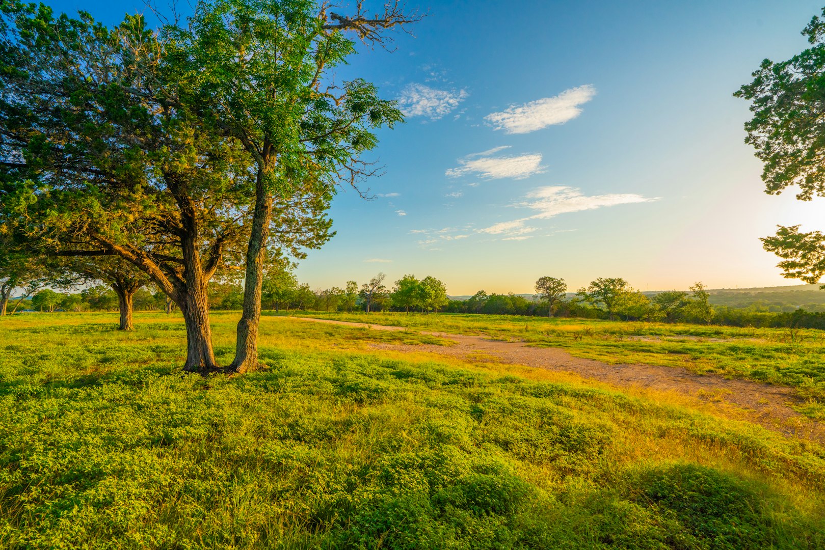 116 Majestic Oaks Drive Boerne TX 78006