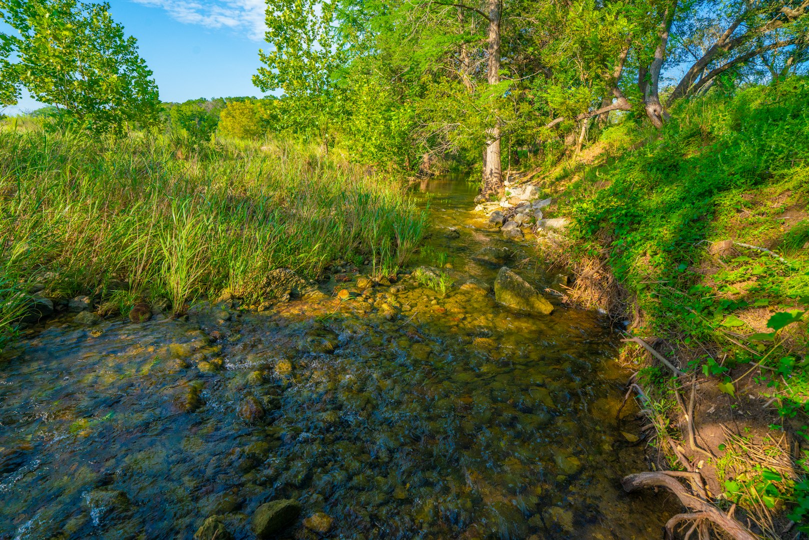 116 Majestic Oaks Drive Boerne TX 78006