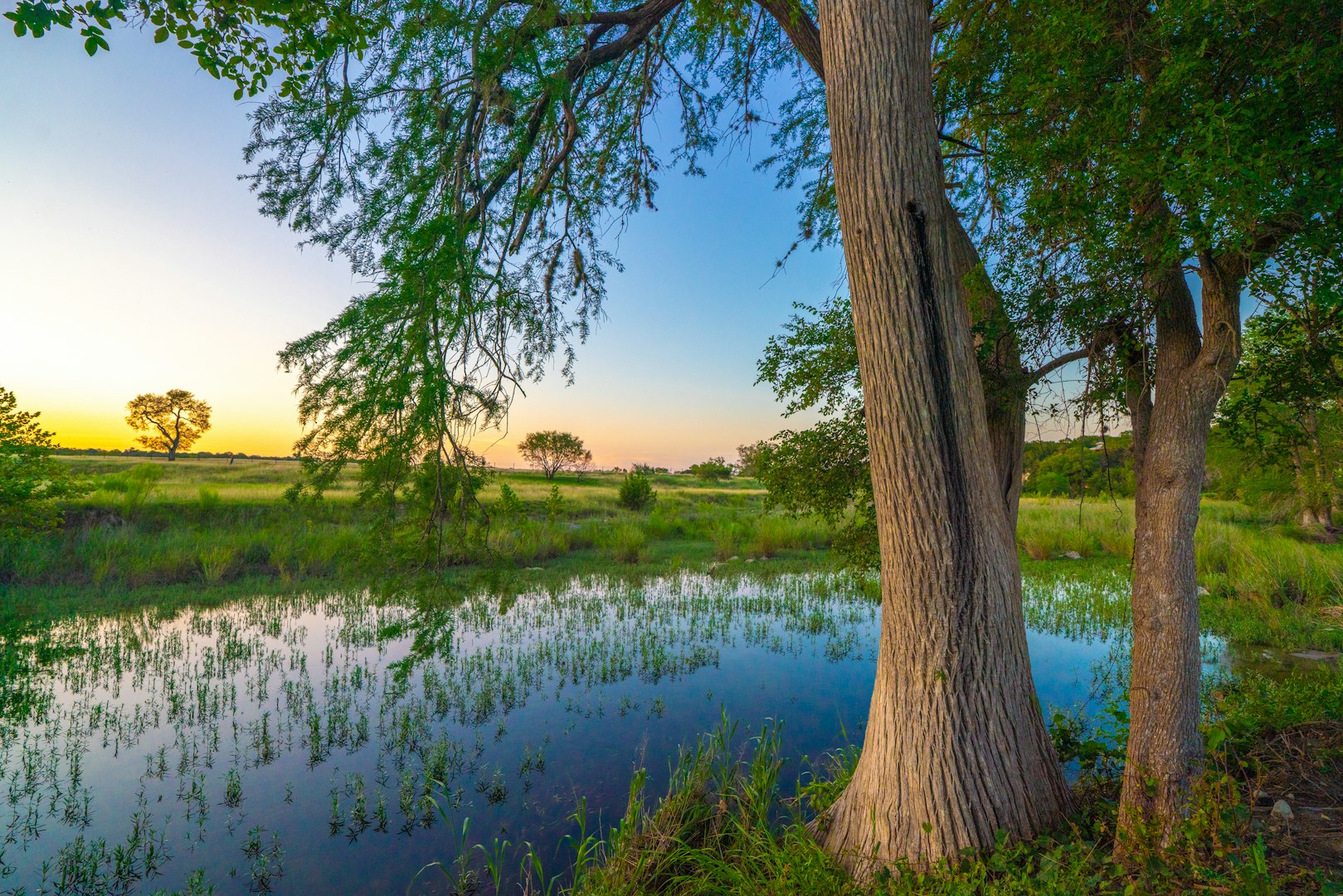 116 Majestic Oaks Drive Boerne TX 78006