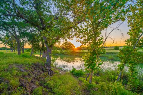 116 Majestic Oaks Drive Boerne TX 78006
