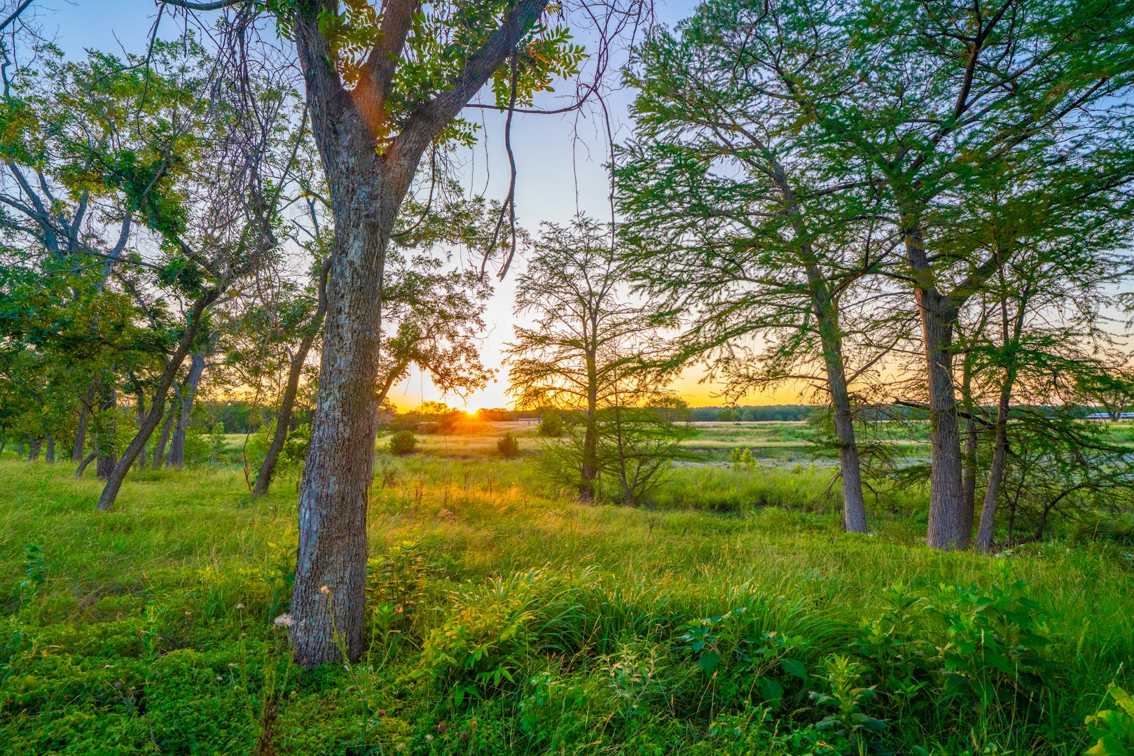 116 Majestic Oaks Drive Boerne TX 78006