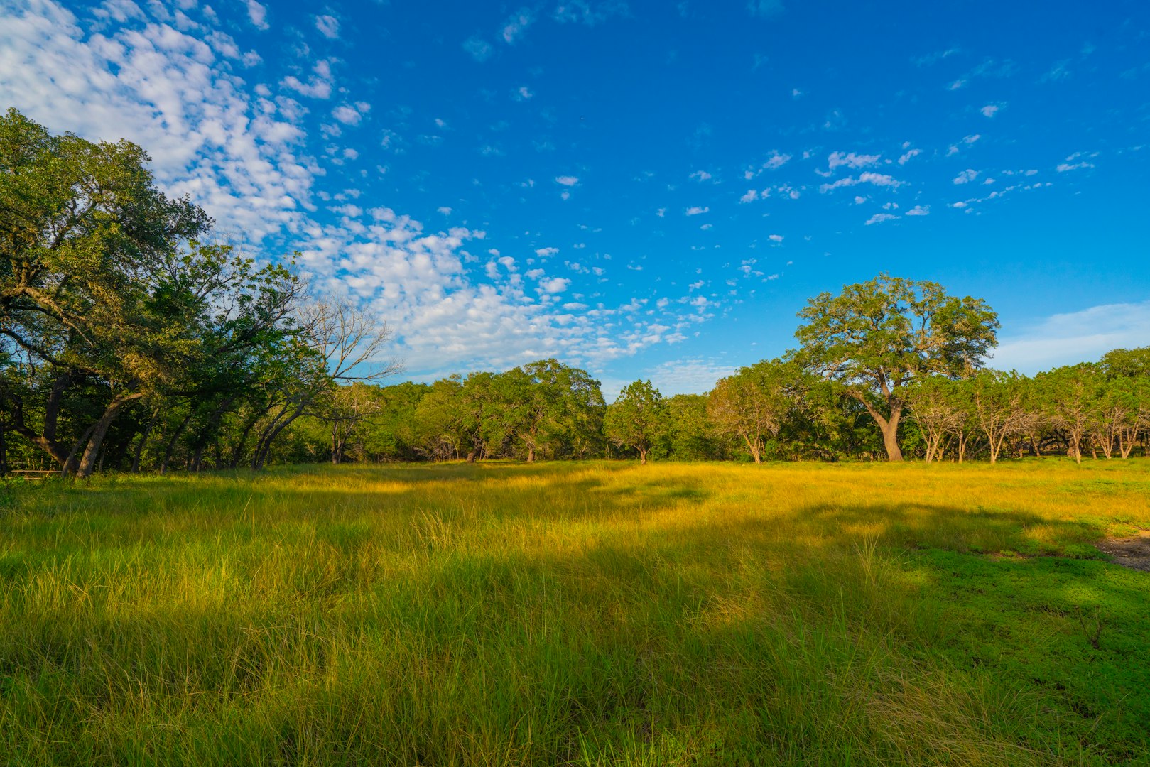 116 Majestic Oaks Drive Boerne TX 78006