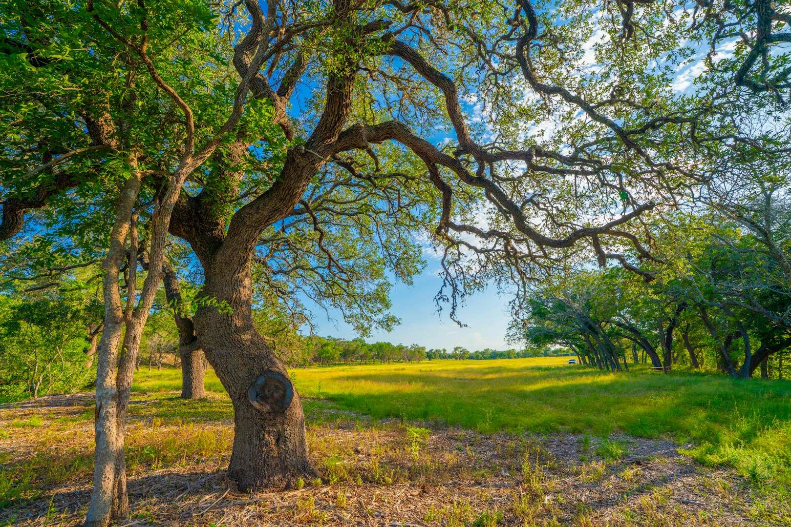 116 Majestic Oaks Drive Boerne TX 78006