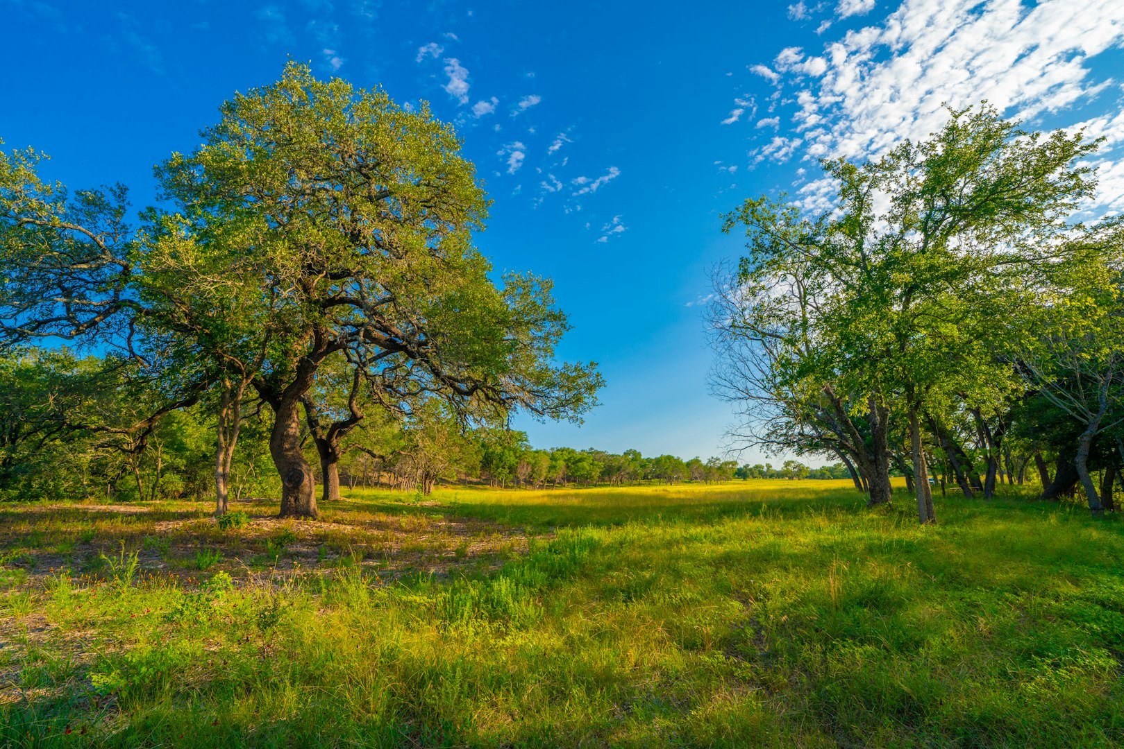 116 Majestic Oaks Drive Boerne TX 78006