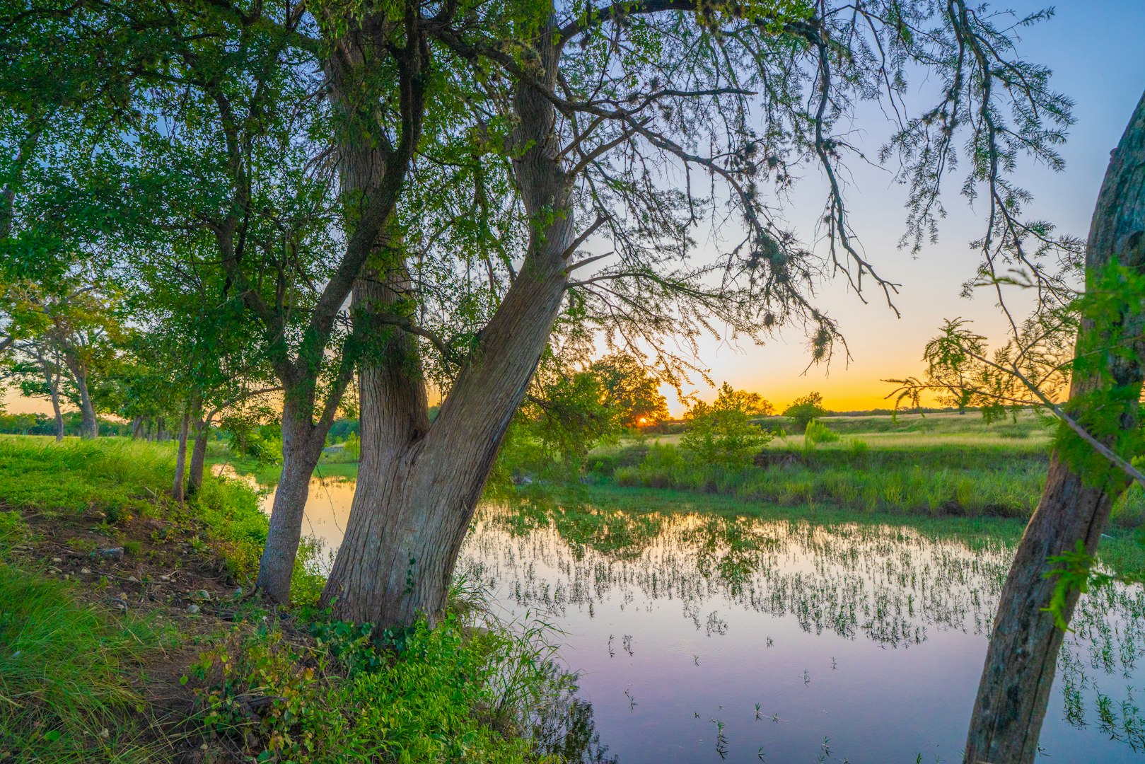 116 Majestic Oaks Drive Boerne TX 78006