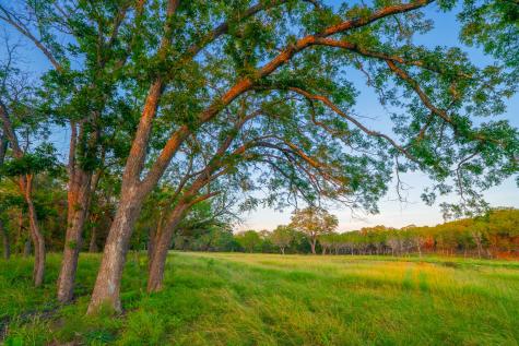 116 Majestic Oaks Drive Boerne TX 78006