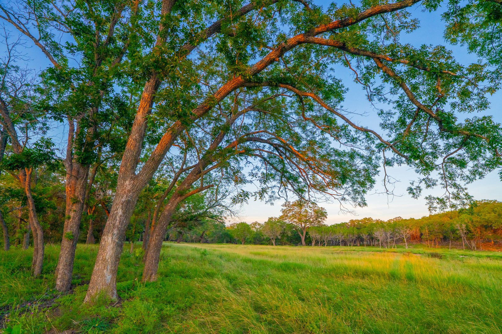 116 Majestic Oaks Drive Boerne TX 78006