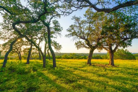 116 Majestic Oaks Drive Boerne TX 78006