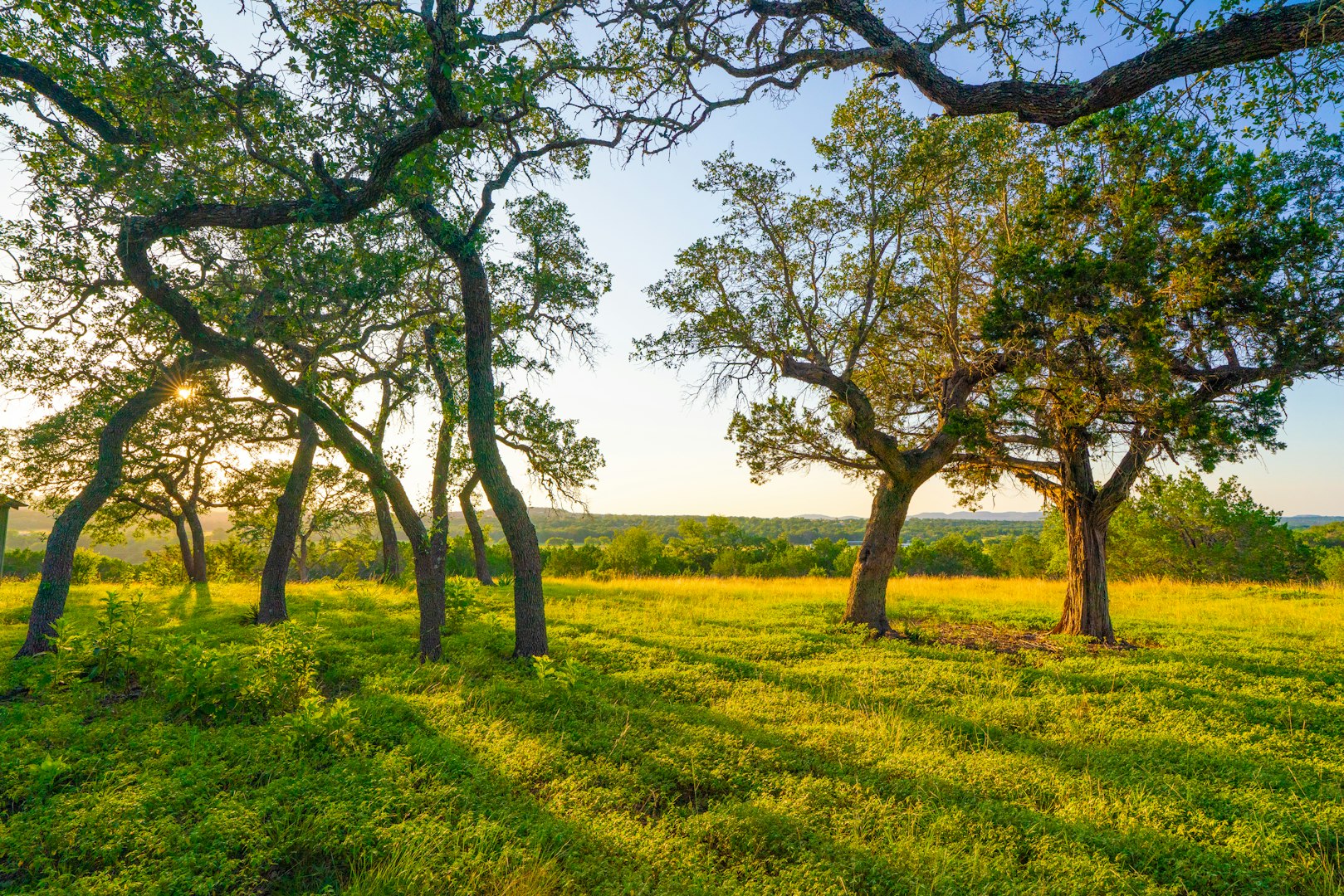 116 Majestic Oaks Drive Boerne TX 78006