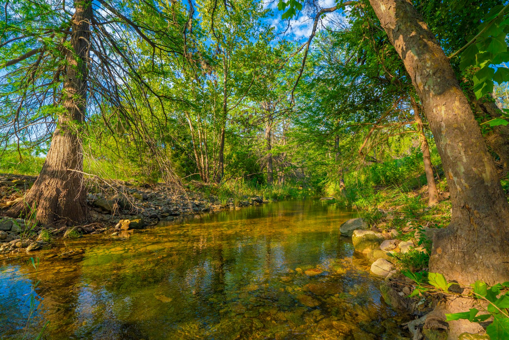 116 Majestic Oaks Drive Boerne TX 78006