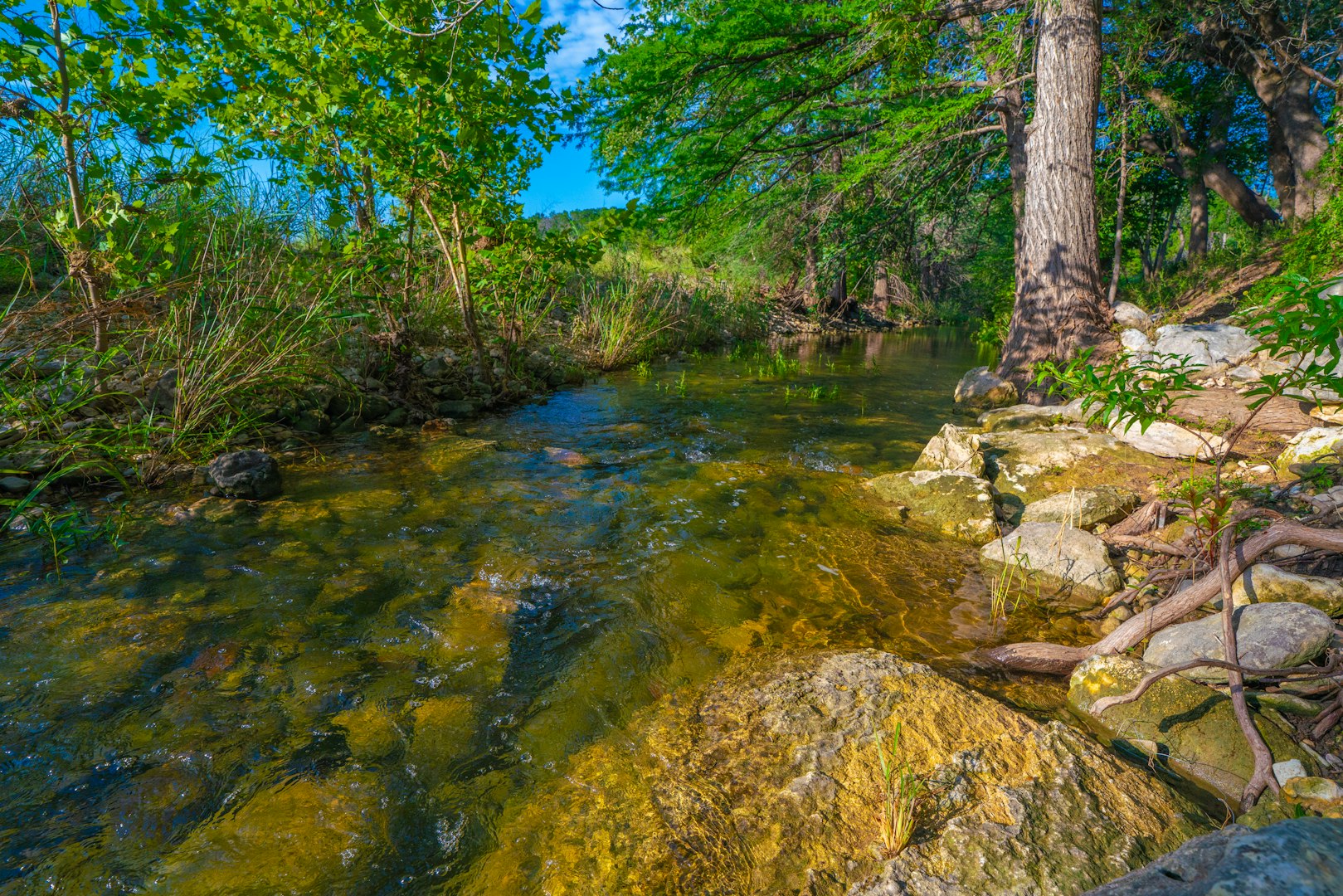 116 Majestic Oaks Drive Boerne TX 78006