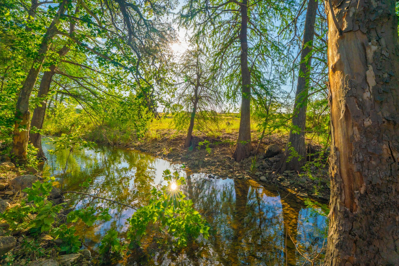 116 Majestic Oaks Drive Boerne TX 78006