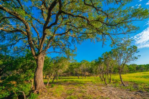116 Majestic Oaks Drive Boerne TX 78006