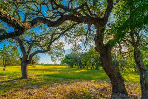 116 Majestic Oaks Drive Boerne TX 78006