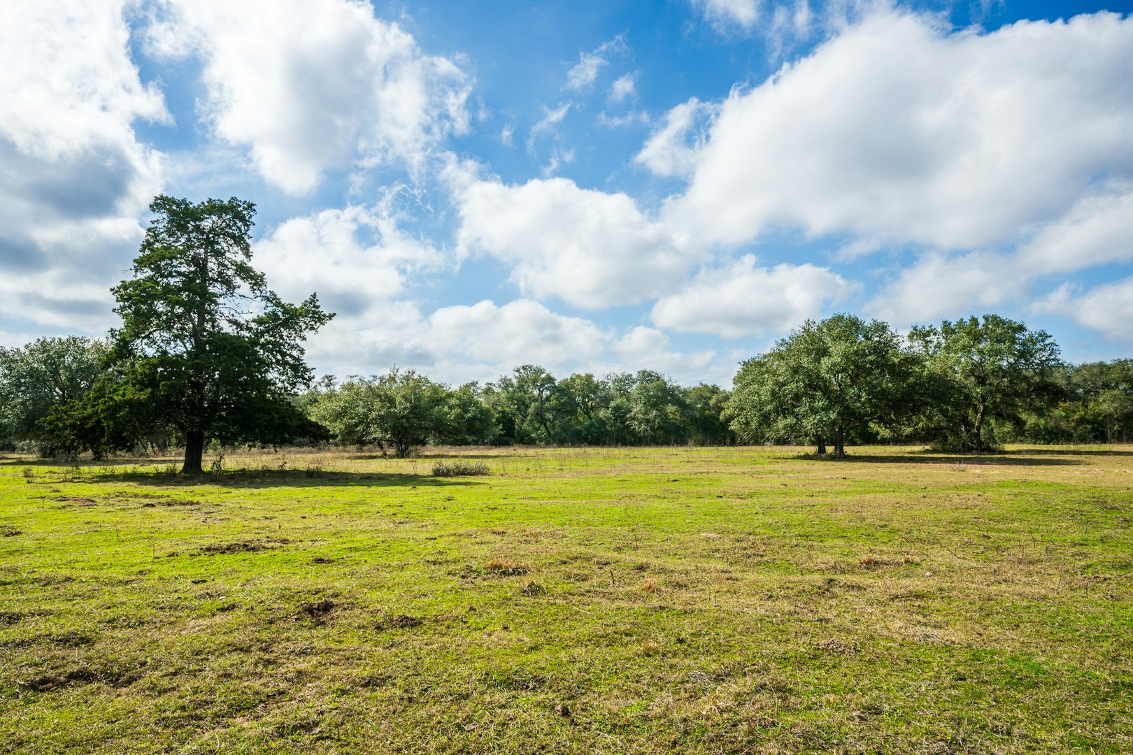 16297-1 Texas 111 Yoakum TX 77995