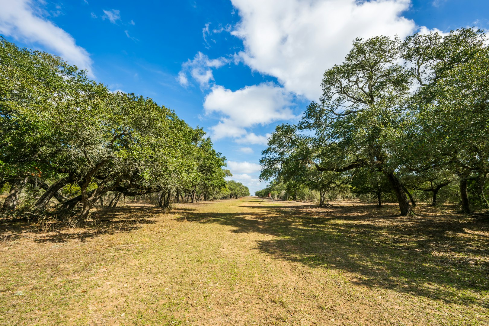 16297-1 Texas 111 Yoakum TX 77995