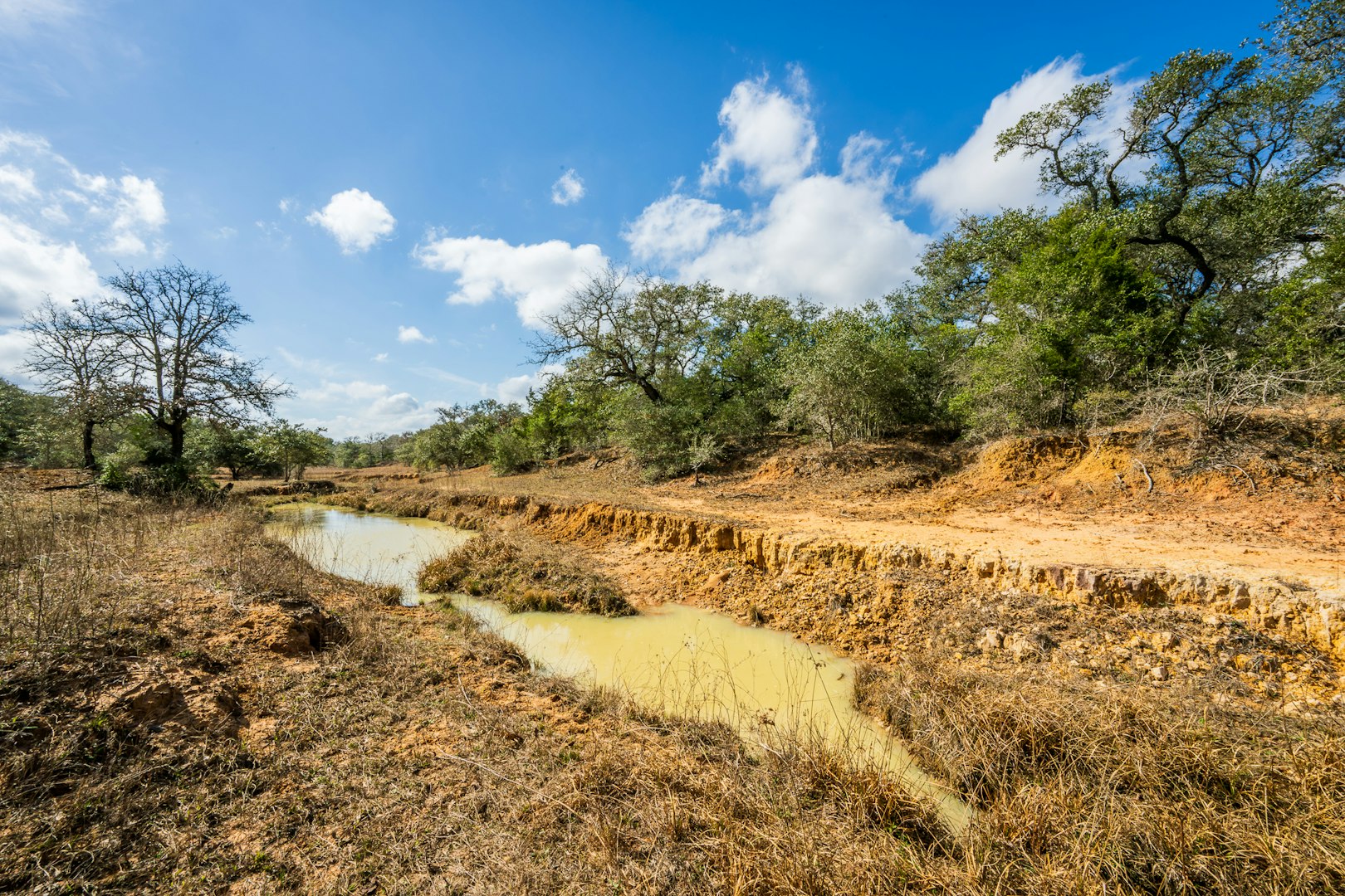 16297-1 Texas 111 Yoakum TX 77995