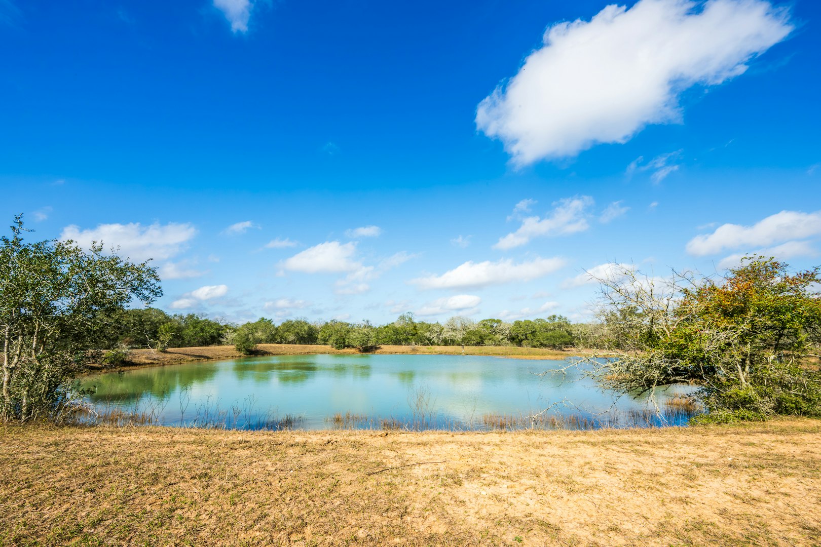 16297-1 Texas 111 Yoakum TX 77995