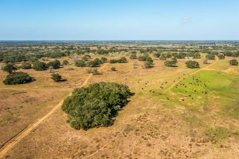 16297-1 Texas 111 Yoakum TX 77995