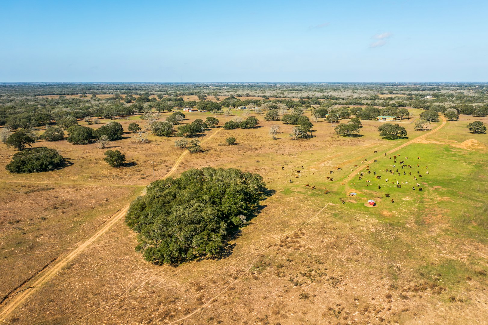 16297-1 Texas 111 Yoakum TX 77995