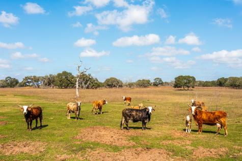 16297-1 Texas 111 Yoakum TX 77995