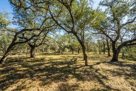 16297-1 Texas 111 Yoakum TX 77995