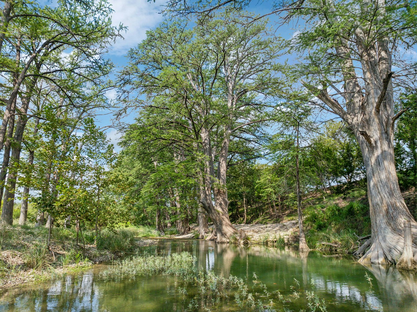 721 Bandina River Road Bandera TX 78003