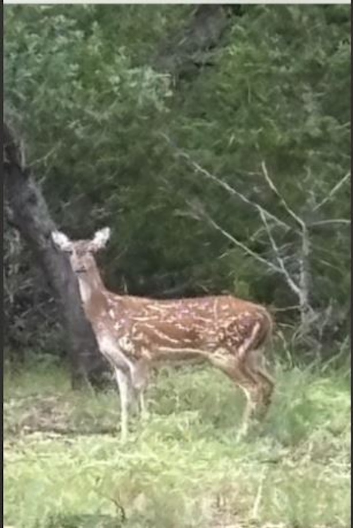 721 Bandina River Road Bandera TX 78003