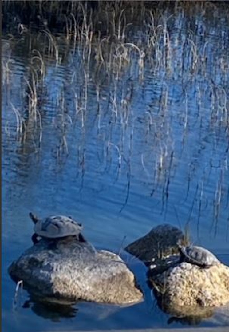 721 Bandina River Road Bandera TX 78003