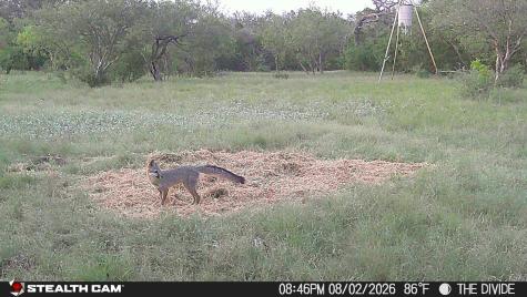 33309 Texas 55 Uvalde TX 78801