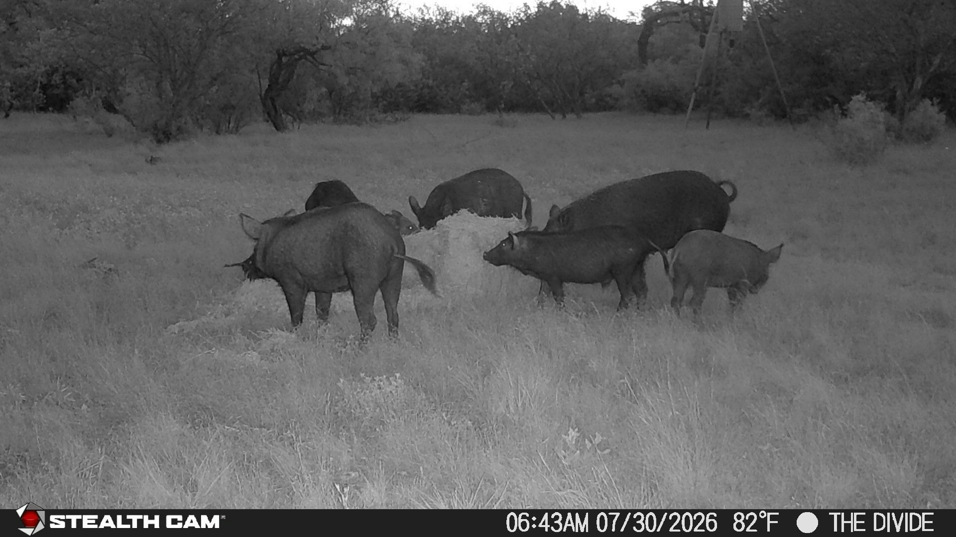 33309 Texas 55 Uvalde TX 78801