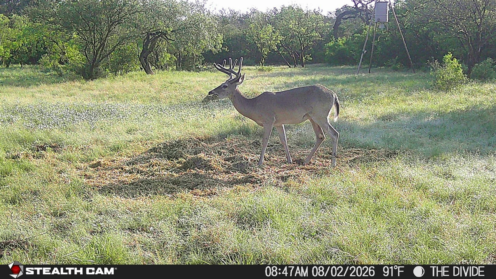 33309 Texas 55 Uvalde TX 78801