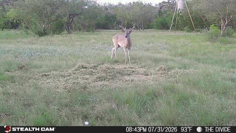 33309 Texas 55 Uvalde TX 78801