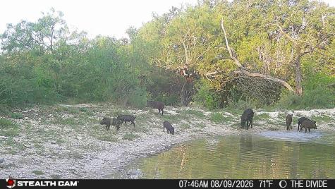 33309 Texas 55 Uvalde TX 78801
