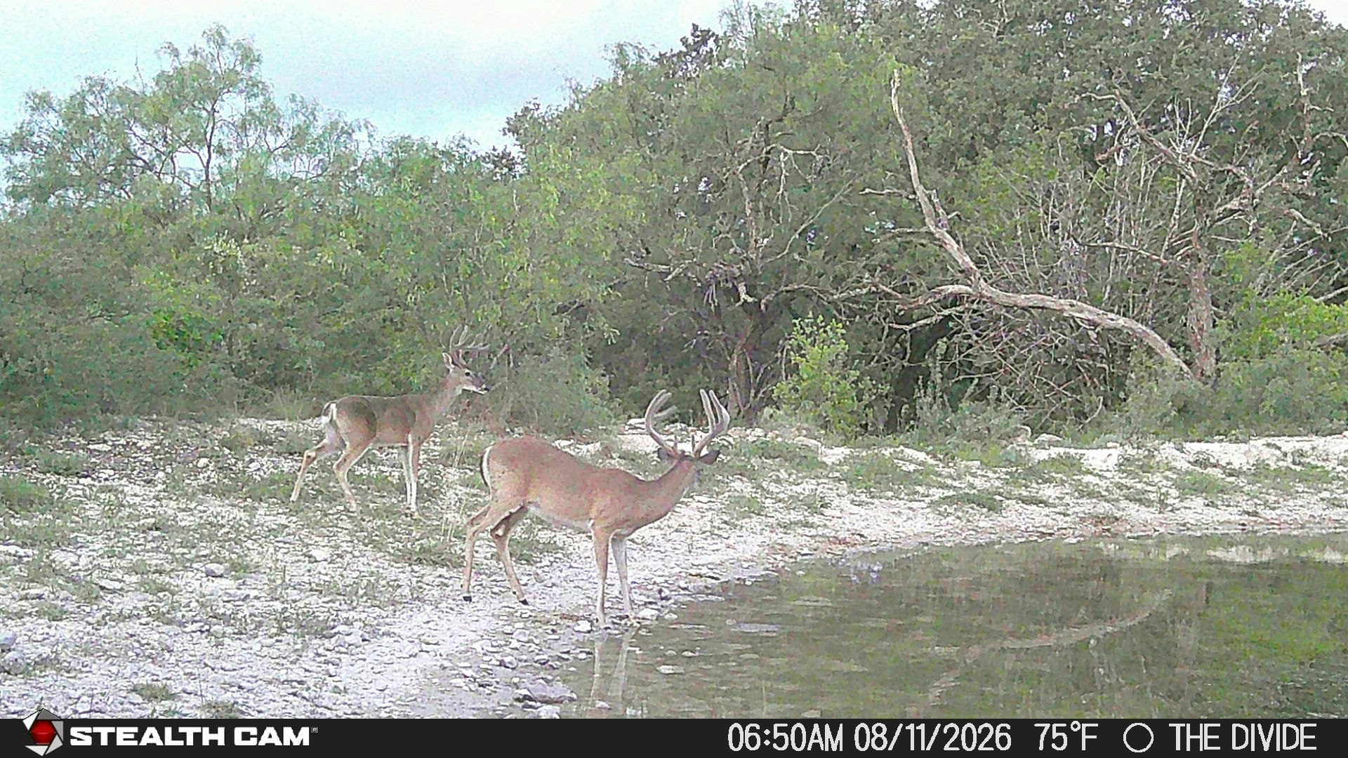 33309 Texas 55 Uvalde TX 78801