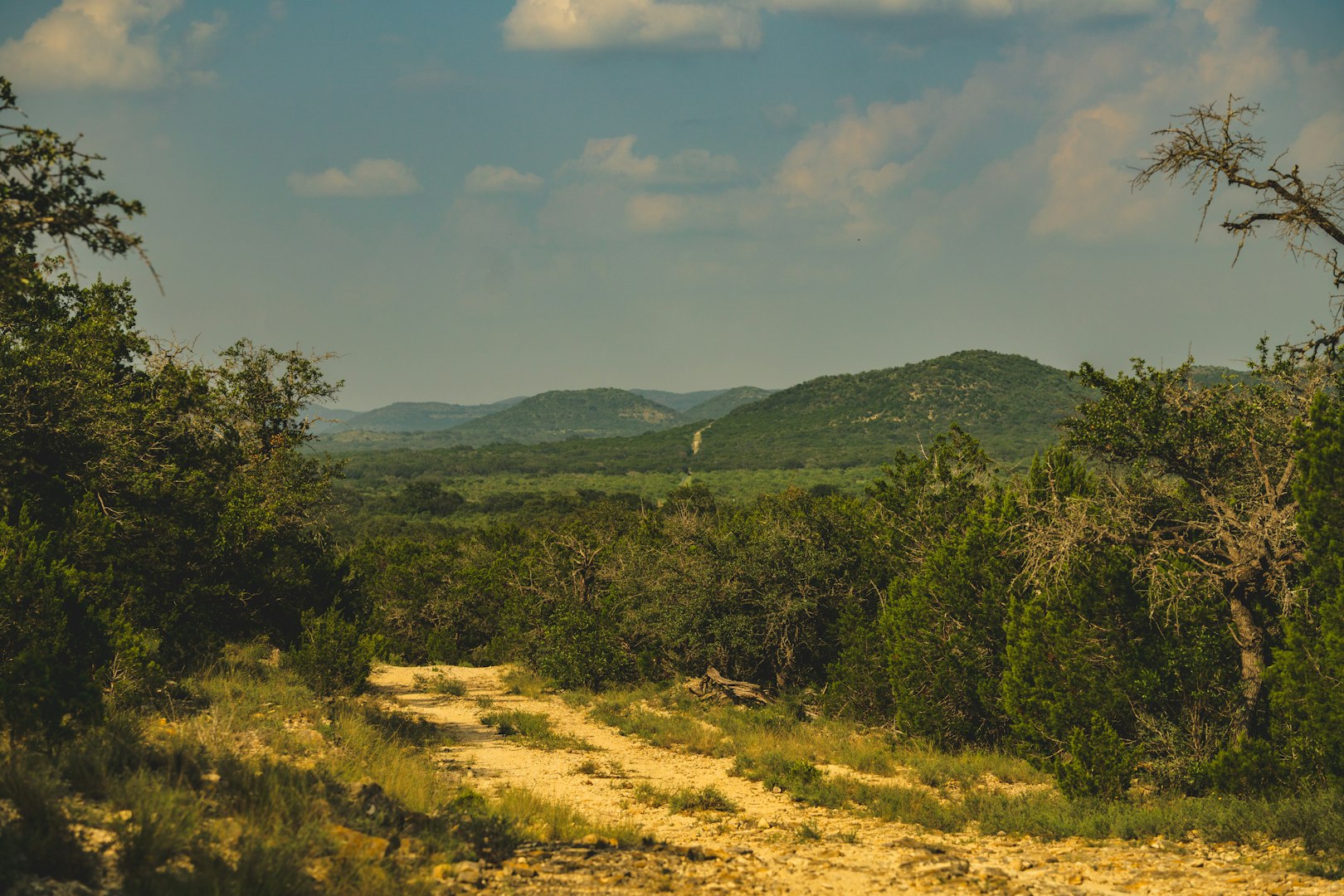 33309 Texas 55 Uvalde TX 78801