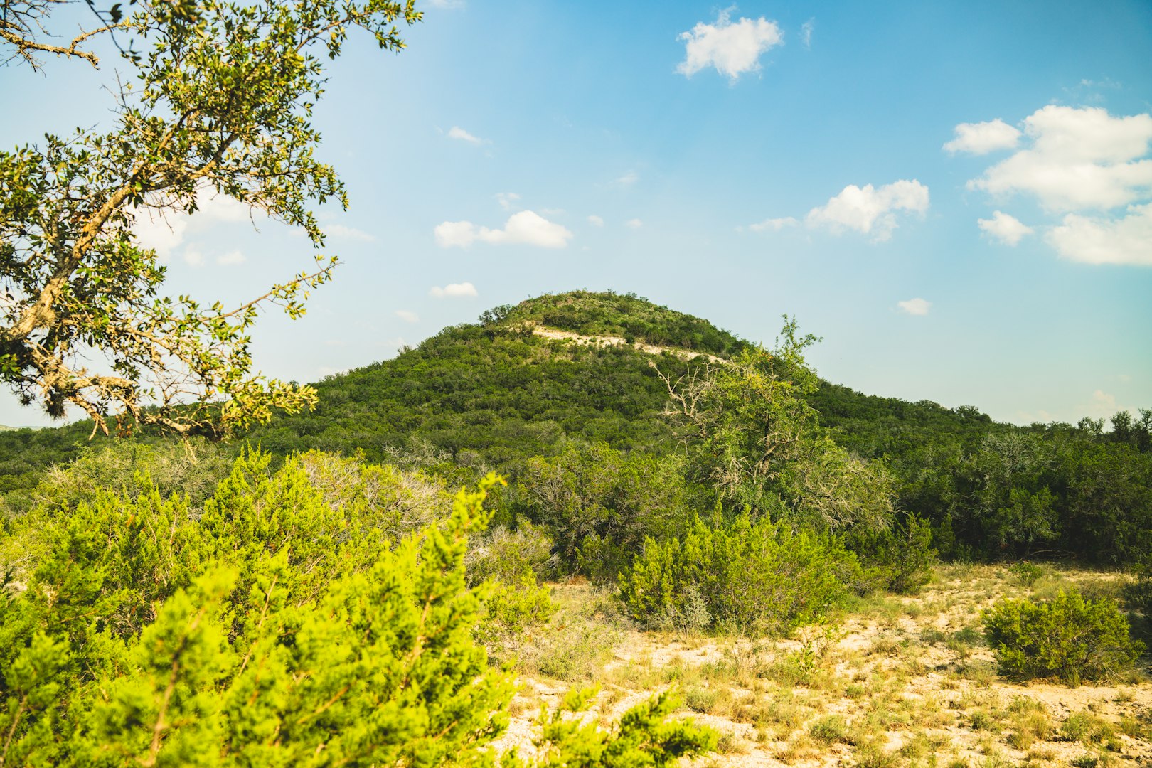 33309 Texas 55 Uvalde TX 78801