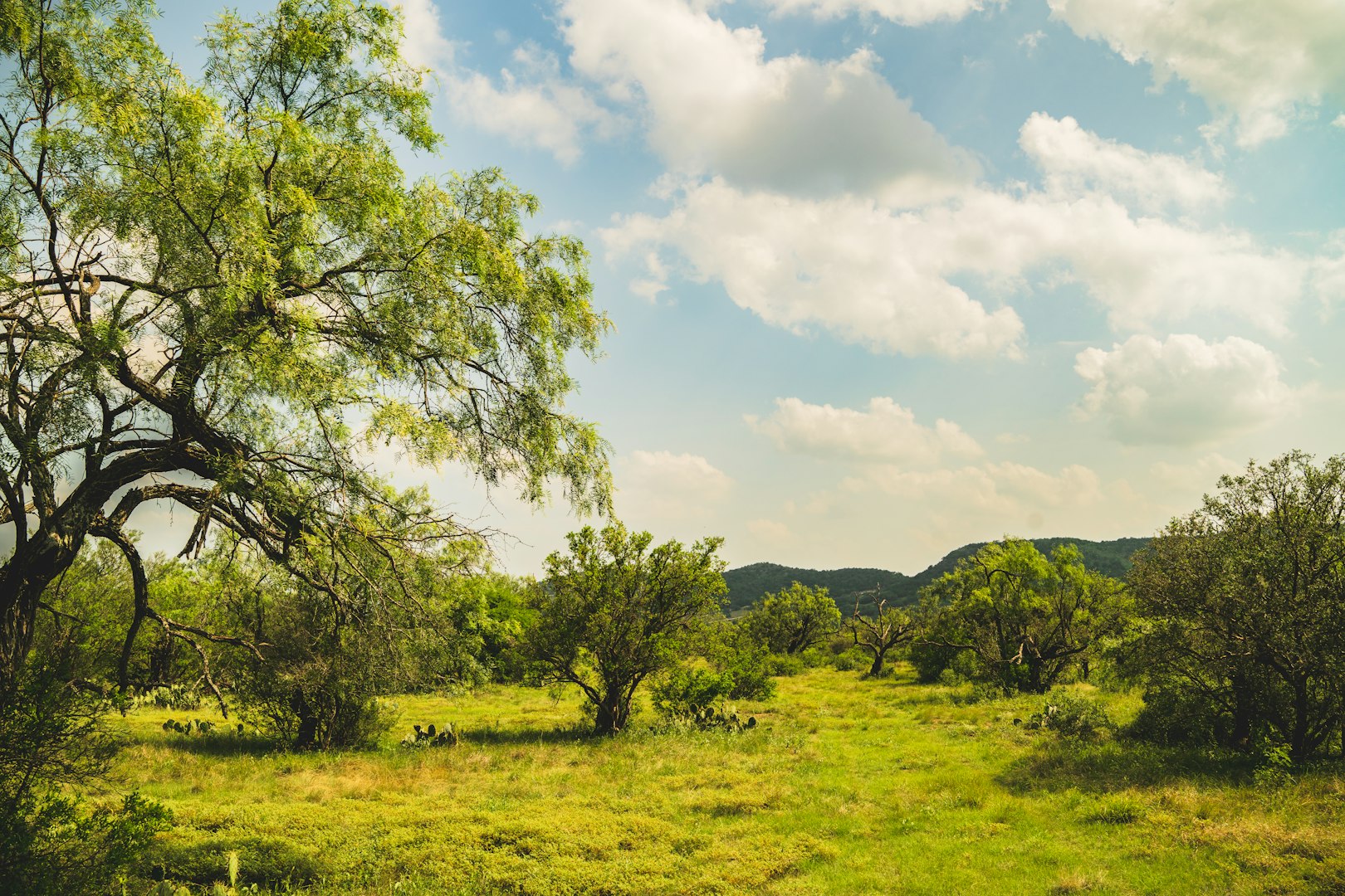 33309 Texas 55 Uvalde TX 78801