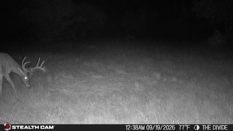 33309 Texas 55 Uvalde TX 78801