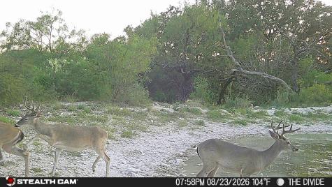 33309 Texas 55 Uvalde TX 78801