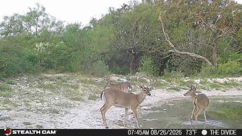 33309 Texas 55 Uvalde TX 78801