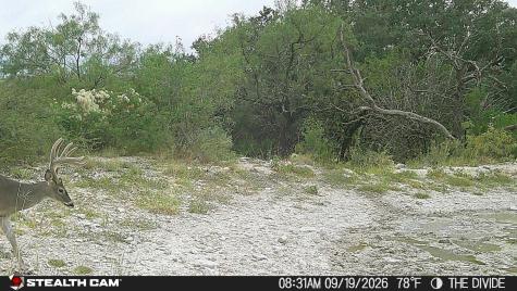 33309 Texas 55 Uvalde TX 78801