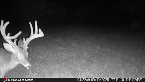 33309 Texas 55 Uvalde TX 78801